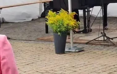 Spotkanie sztuki, łączącym muzykę poważną z wizualną ekspresją plastyczną. 2