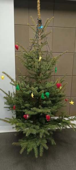 Świąteczne zajęcia w GCKB były naprawdę wyjątkowe! 19