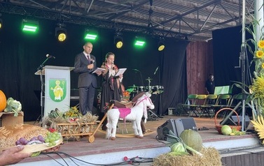 Dożynki Gminne 2026 80