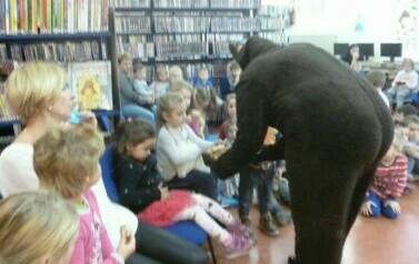 Pluszowy Miś w bibliotece 4