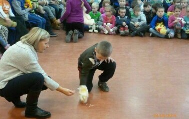 Światowy Dzień Pluszowego Misia 47