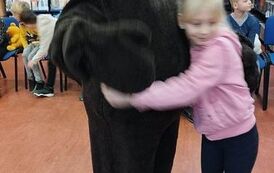 Święto Pluszowego Misia 13