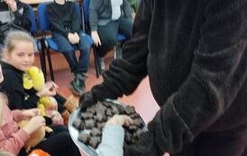 Święto Pluszowego Misia 28