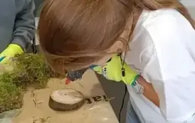 Jesienne warsztaty &ndash; grzybobranie z dziećmi  21