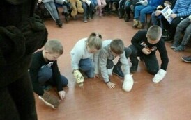 Dzień Pluszowego Misia 53