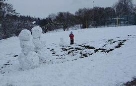 Ferie w bibliotece 5